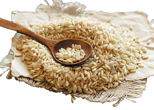 Rice